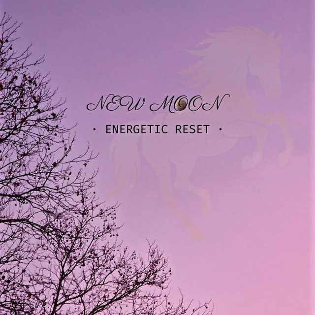 An energetic reset is a moment of stillness
where intention becomes clearer than impulse,
as the Year of the (Fire) Horse begins.
