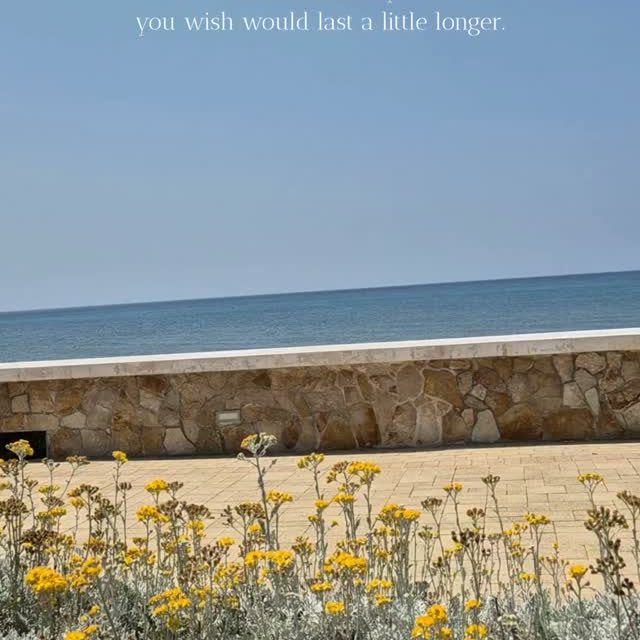 Some days ask nothing from you.
They don't need to be extraordinary.
They don't need to be productive.
They simply remind you how beautiful it feels to be here.
Maybe that's why we wish they would last a little longer.
🌊☀️
SunMoonDreams
#awareness
#liveauthentic
#behere
#sunmoondreams